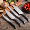 Set 3 couteaux de cuisine - Tradition XL | Lou Laguiole