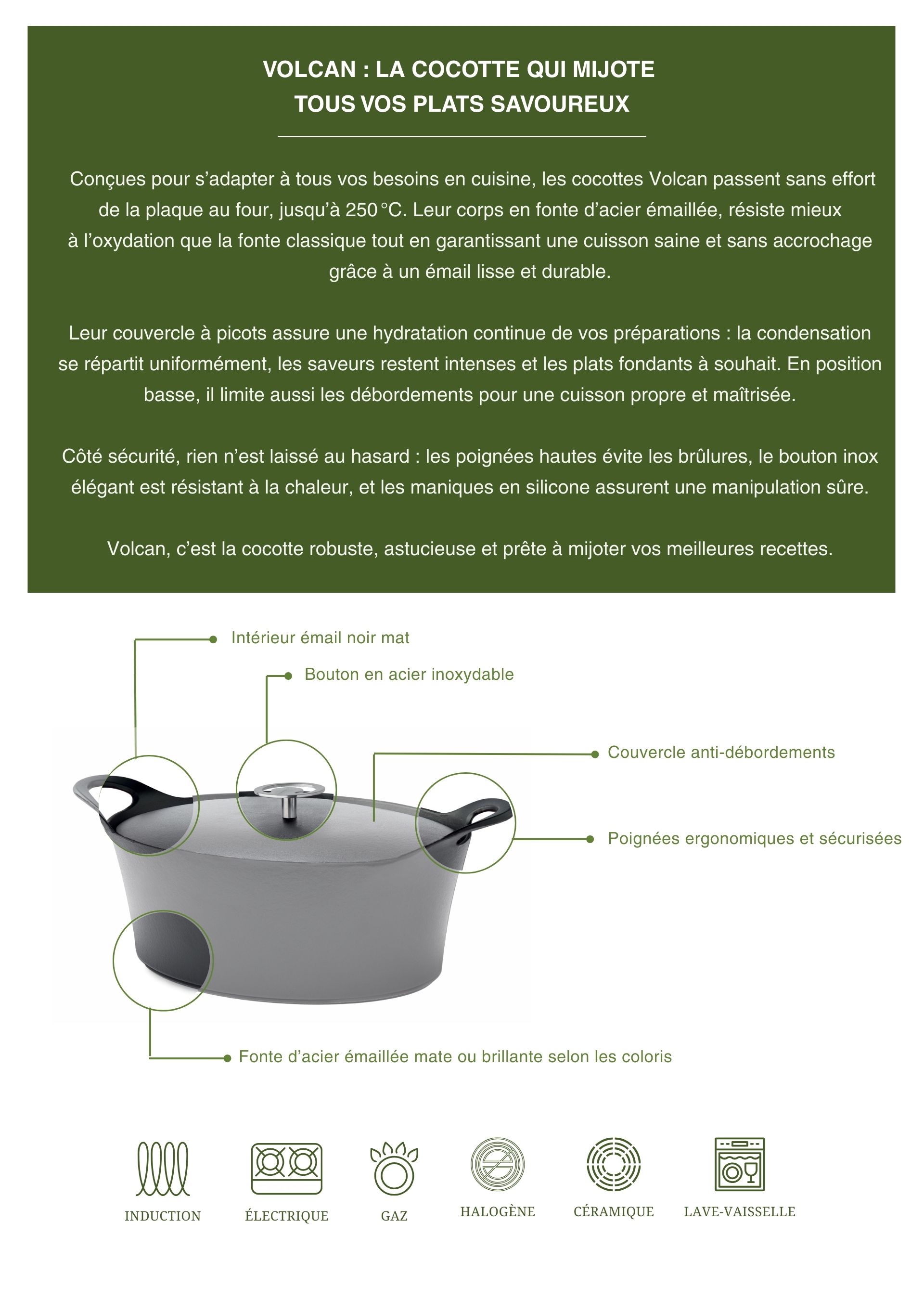 Cocotte En Fonte OLAF 25 Cm Noir Vintage – OGO LIVING, Anse Inox, Compatible Induction & Barbecue, 2.8 L